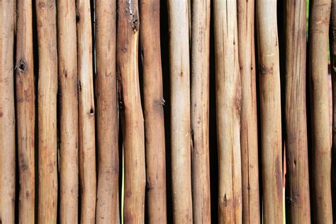 screen divider  stock photo public domain pictures