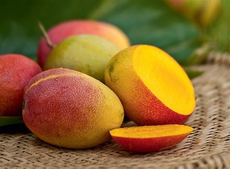 Frutas Que Comecam Com M - Frutas Que Começam Com a Letra M: Nome e Características | Mundo Ecologia