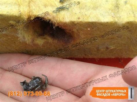 Минеральная вата под штукатурку фасада. Личный опыт. | Центр ...