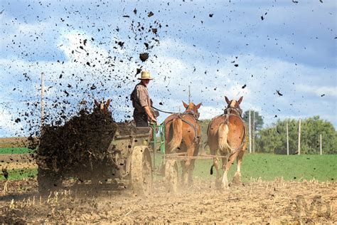 Amish Farming Bird in Hand Pennsylvania | Worldwide Destination ...