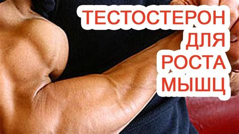 Тестостерон для роста мышц - YouTube