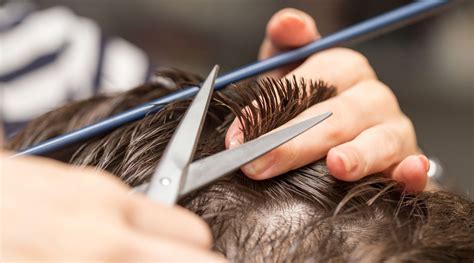 Top 8 Best Beginner Hairdressing & Hair Cutting Scissors in America ...