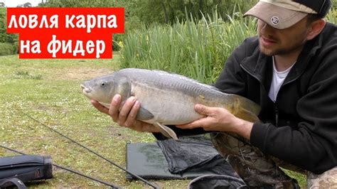 Супер Рыбалка!!!!! Ловля карпа на Фидер! Поклёвки крупным планом - YouTube