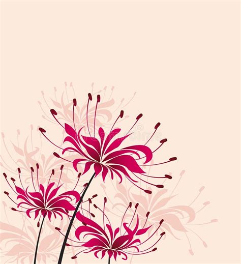 Vector flower Higanbana stock vector. Illustration of afterlife - 87355118