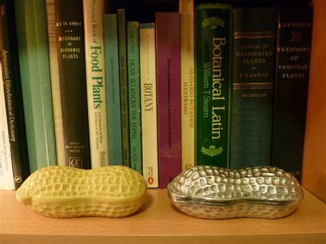 peanut news agricultural biodiversity weblog