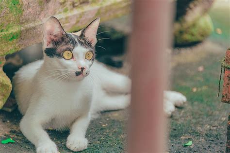 Shocked Photos, Download The BEST Free Shocked Stock Photos & HD Images