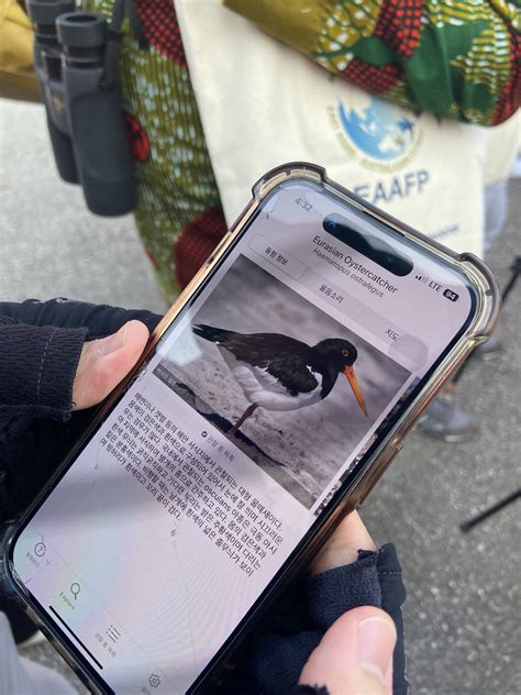 Canaries in the Coal Mine? What Birds Tell Us About Climate Change