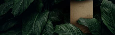 types  cover calendarscompl