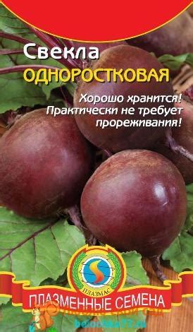 Лучшие сорта свеклы с фото, названием и описанием