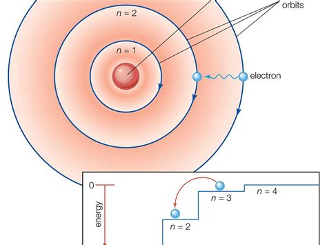The Bohr Rutherford Diagram of Magnesium: Explained in Depth