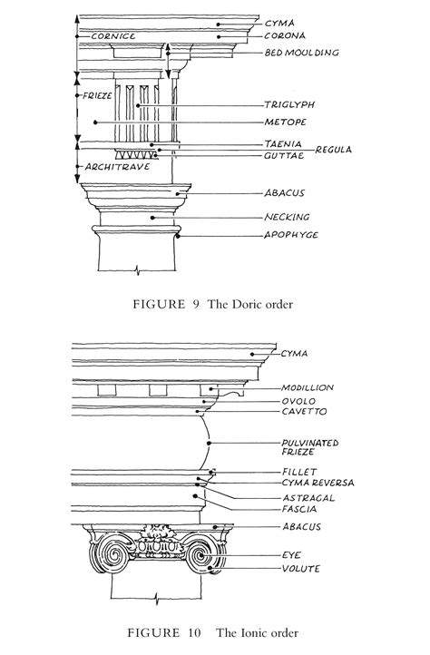 Ionic Order terminology | European architecture, Architecture exam ...