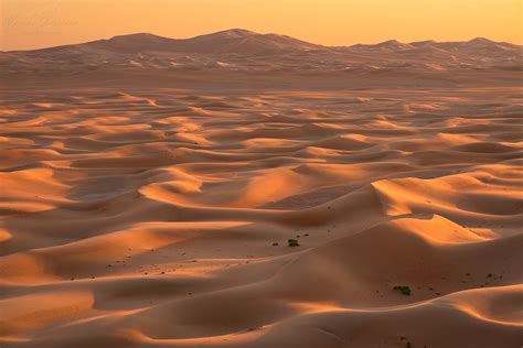 Rub al khali the empty quarter – Artofit