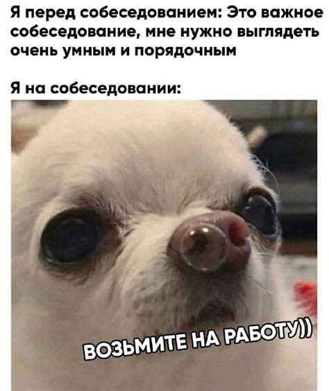 Cмешные картинки и фото-приколы
