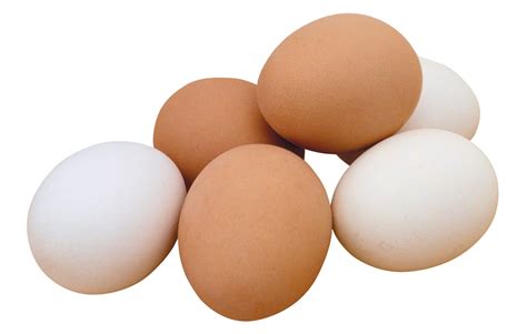 The myths about eggs | Rocky Point Times Newspaper