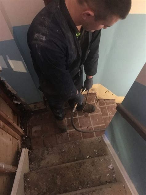 Termite-barrier-treatment-Sydney-Clean & Green Pest Control Northern