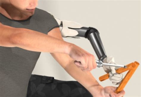 engineering extra limbs  austerity food purchases news