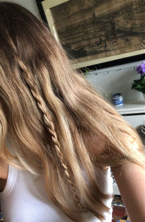 Small plait in blonde brown hair | Brown blonde hair, Plaits hairstyles ...