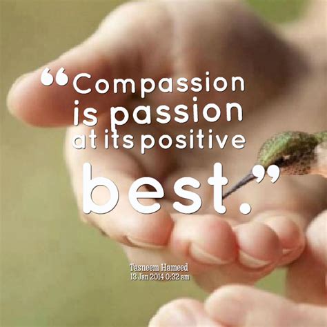 Famous Quotes On Compassion. QuotesGram