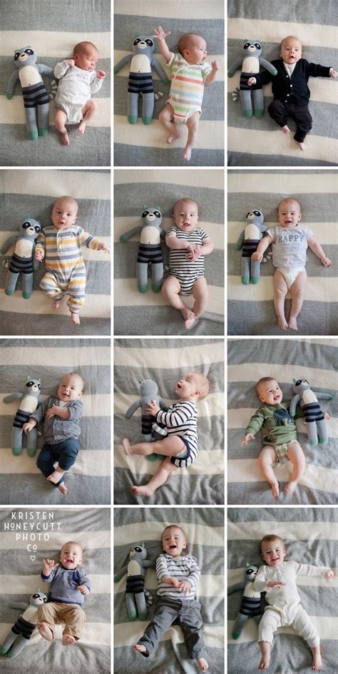 Monthly Baby pictures / Baby's First Year with Stuffed Animal ...