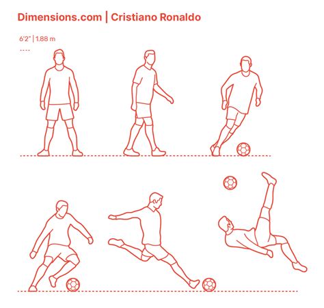 Soccer Ball | Football - Size 5 Dimensions & Drawings | Dimensions.com