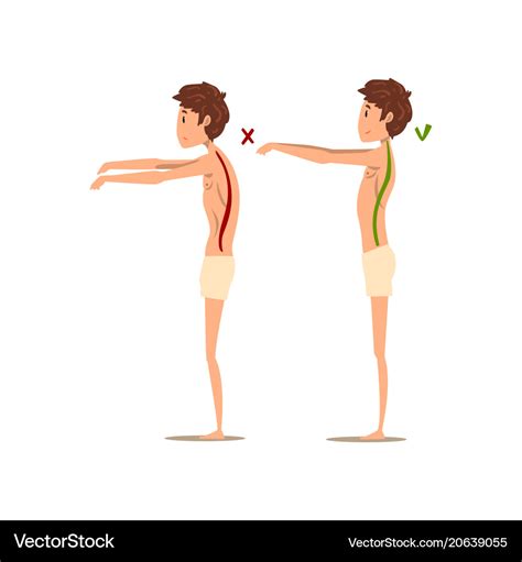 correct  wrong spine posture side view vector image