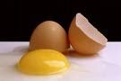 BlogGang.com : : กิ่งไม้ไทย : นกออกจากกรง ไก่ฟักไข่