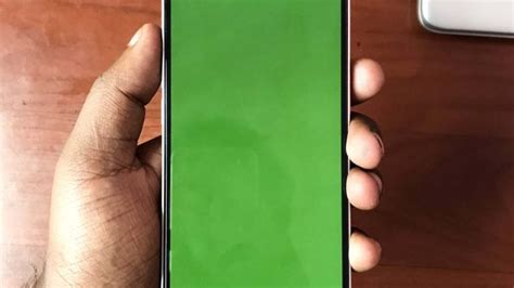 Пользователи iPhone начали жаловаться на «зелёный экран» после ...