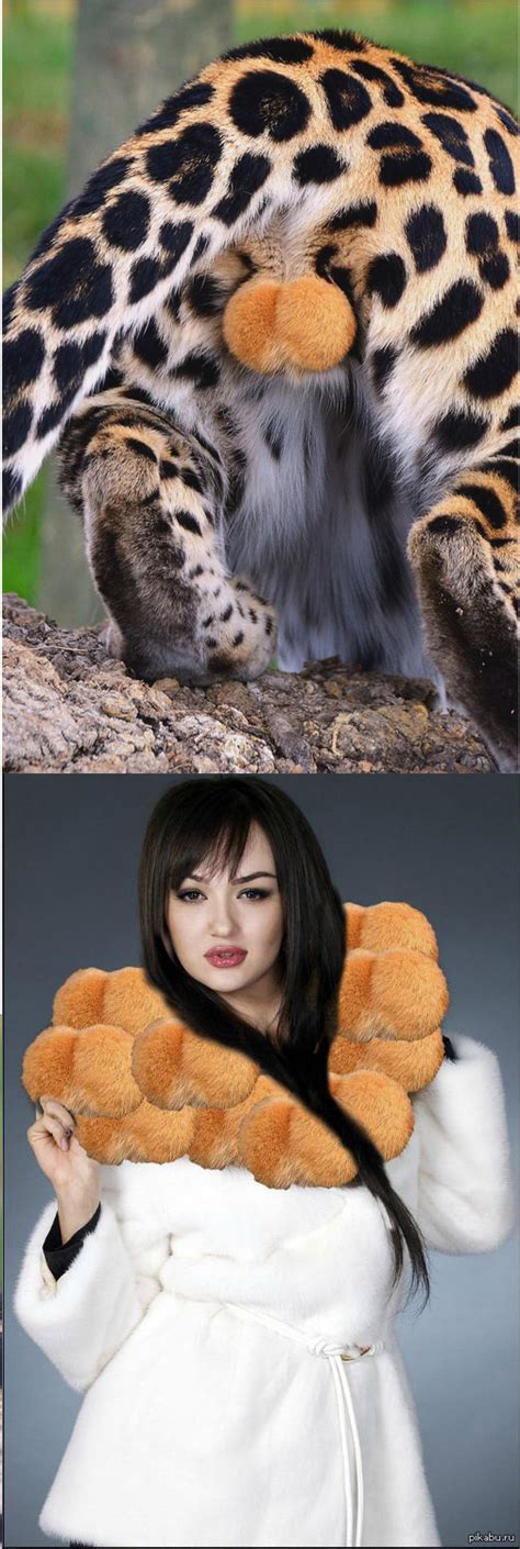 мохнатки