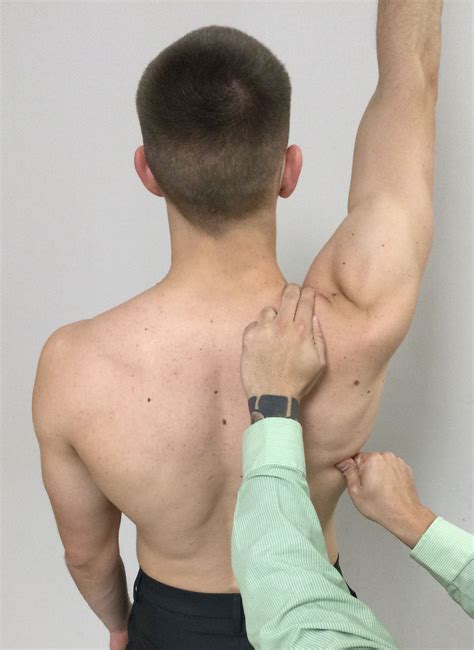Current Views of Scapular Dyskinesis and its Possible Clinical