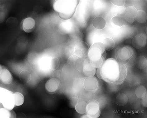Black and White Abstract Photography, Abstract Nature Photograph, Black ...