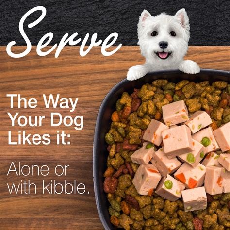 Is Expired Dog Food Ok