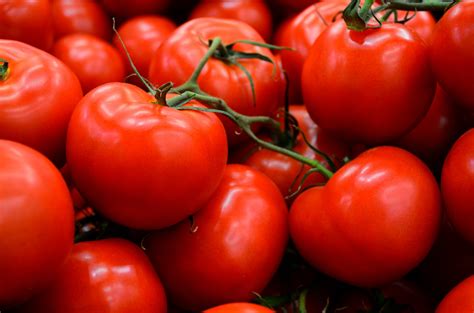 images fruit food salad produce vegetable fresh healthy
