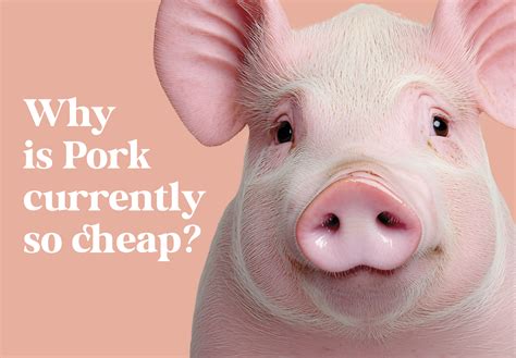 Pork Is So Cheap — But Why? The Hidden Cost Behind Your Ham Sandwich ...