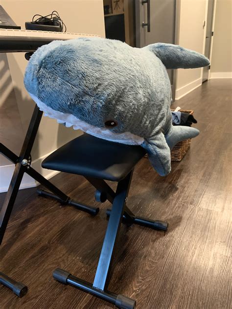 I got a BLAHAJ for Christmas and wanted to share : r/BLAHAJ