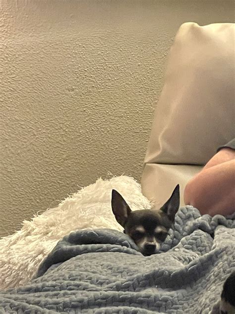 erin on Twitter: "look. https://t.co/TbXqj4tus1" / Twitter