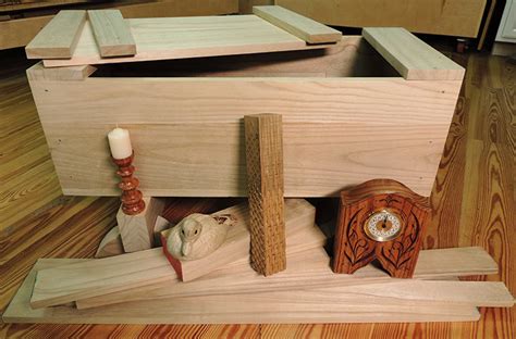 Discover the Allure of Paulownia Wood: Sustainable Elegance for Your ...