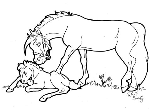 Mare And Foal Coloring Pages at GetColorings.com | Free printable colorings pages to print and color