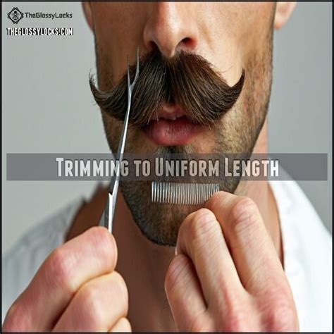 trim mustache step  step guide   sharp  polished