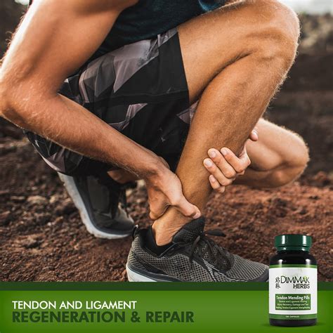 Buy Tendon Mending Pills Tendon and Ligament Regeneration and Repair by