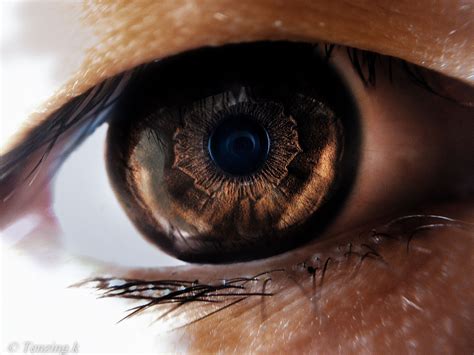 micro shot  eye picture eyes