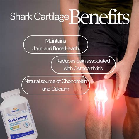 maplelife nutrition shark cartilage mg excellent source