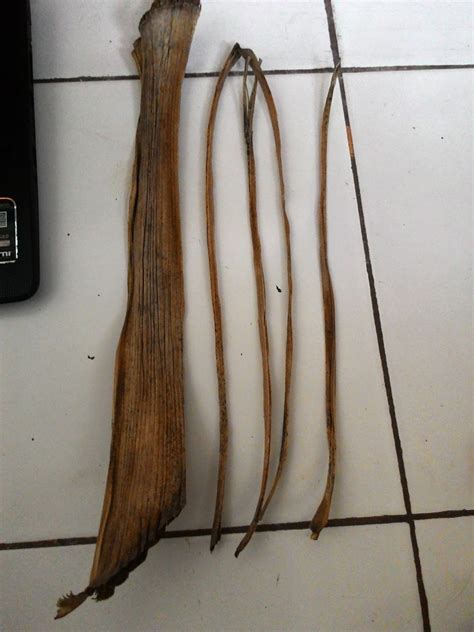 craft  anna membuat tali  pelepah pohon pisang