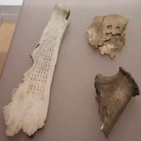 Oracle Bones in China | Definition, History & Script | Study.com