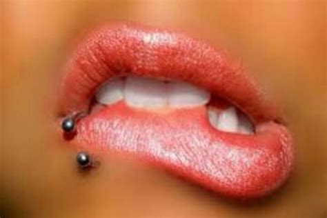 pinterest piercings lip piercing piercing