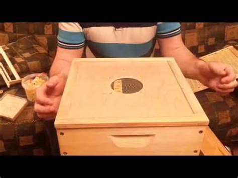 Сот джентера для альпиского улья - YouTube
