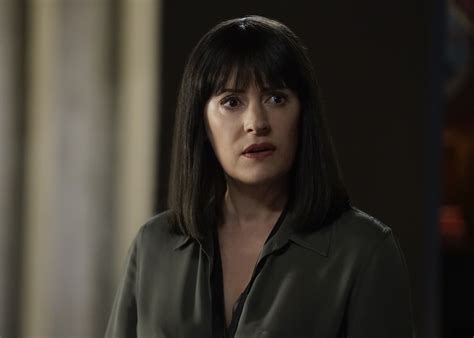 Steve Damstra Is a Musician - Facts about Paget Brewster’s Husband