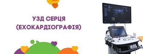 ⚕ Ультразвукове дослідження серця ♥(Ехокардіографія) - PULSE