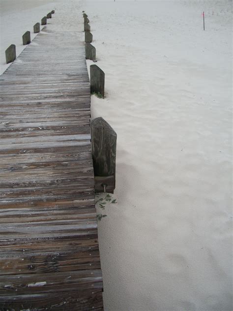 Diane webber sand dune - noredshelf