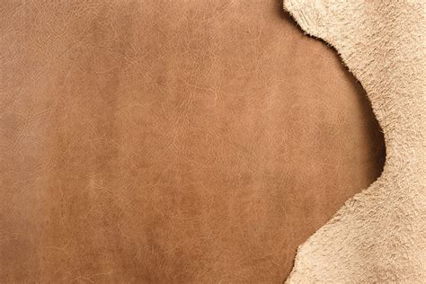 cuero ingrediente del perfume wikiparfum