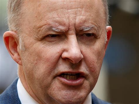Anthony Albanese | Labor Party Leader News & Updates | news.com.au ...